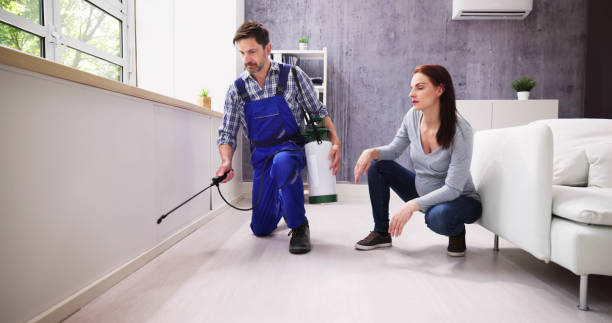 Best Indoor Pest Control  in Elmwood, LA